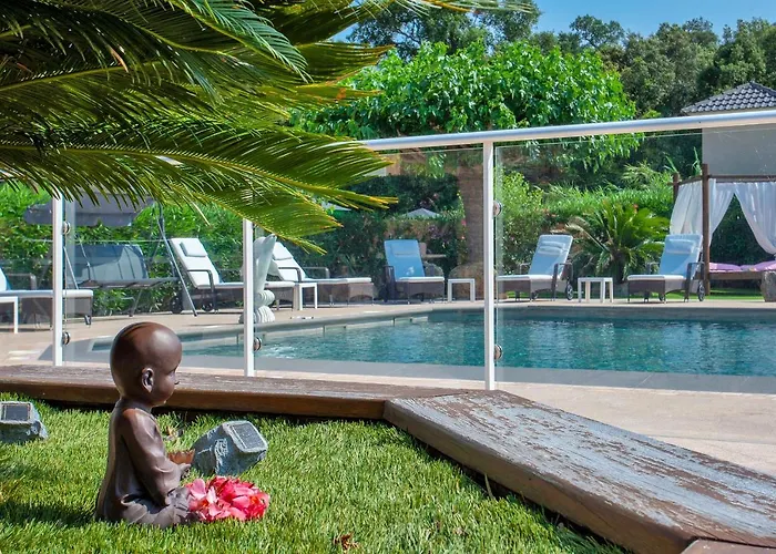 アパート U Guadellu - Piscine Chauffee *